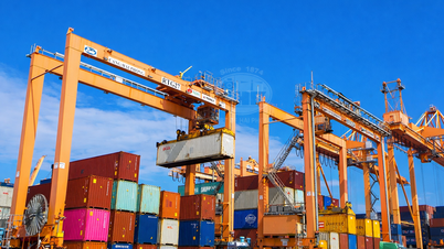 Cảng Hải Phòng miễn phí lưu container 9 ngày dịp Tết Nguyên đán Bính Ngọ 2026
