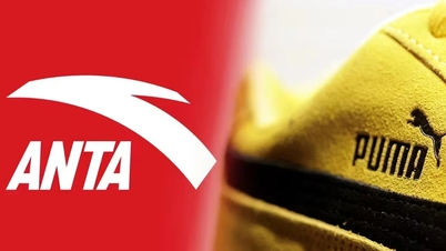 Puma changes ownership: A $1.8 billion gamble by the Chinese giant.