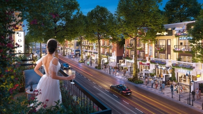 Eurowindow Light City: A new destination on the north bank of the Ma River.