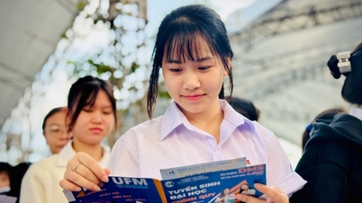 Giảm 50% điểm cộng IELTS trong xét tuyển đại học: Tối đa 1,5
