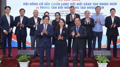 Sok nagyvállalat tulajdonosa stratégiai tanácsadóként dolgozik a Ho Si Minh-városi Nemzeti Egyetemen.