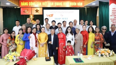 Vietnam'da yaşayanların, Ay takvimine göre At Yılı (Bính Ngọ) Yeni Yılı sırasında bir araya gelmesi.