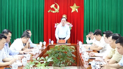 Heti jelentések kérése a Long Duc 3, Bau Can - Tan Hiep és Xuan Que - Song Nhan ipari övezetek földterület-tisztításáról.