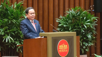 قومی اسمبلی کے چیئرمین ٹران تھانہ مین نے سابق قومی اسمبلی کے رہنماؤں سے ملاقات کی۔