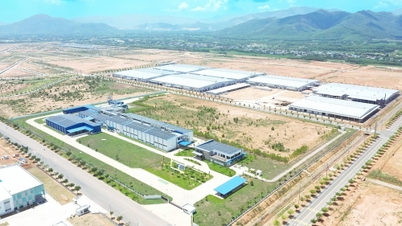 Becamex VSIP Binh Dinh achève le défrichement du terrain et ouvre ses portes aux investisseurs.