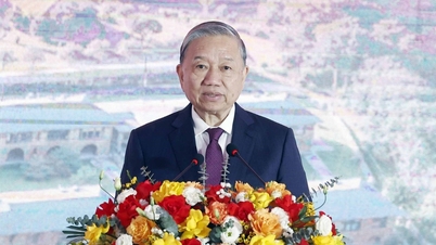 "التعلم لا يقتصر فقط على الهروب من الفقر، بل يتعلق أيضاً بتعزيز الطموح إلى الثراء."