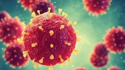Wirus Nipah: Zachowaj czujność, ale nie panikuj w obliczu groźby inwazji.