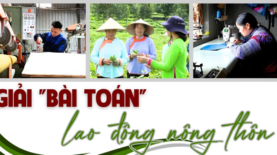 Solving the rural labor "problem"