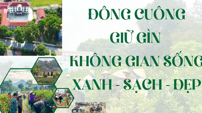 Dong Cuong preserves a green, clean, and beautiful living environment.