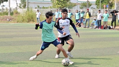 Der Amateurfußball erfreut sich zunehmender Beliebtheit.