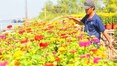 Aroma Tet (Tahun Baru Vietnam) dari desa ke bandar.