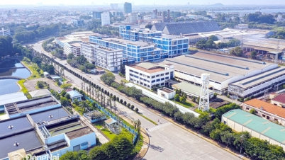 Zonificación de desarrollo industrial en Dong Nai