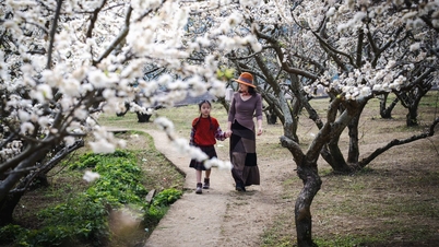 This picturesque village, located 200km from Hanoi, is perfect for taking stunning photos.