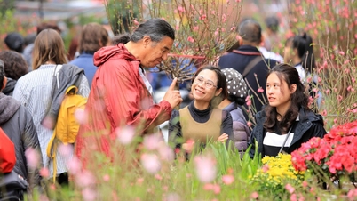 Weersverwachting voor 29 januari: In Noord-Vietnam zal het 's nachts koud zijn, terwijl het in Zuid-Vietnam overdag zonnig zal zijn.