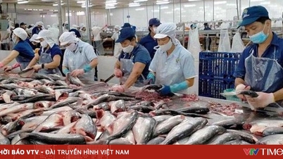 ЕС усиливает контроль за импортом морепродуктов.