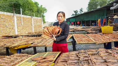 Hộ làm khô truyền thống tất bật chuẩn bị nguồn hàng dịp Tết