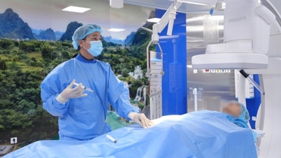 Đặt stent đường mật qua da giảm đau và tắc mật cho bệnh nhân ung thư tụy