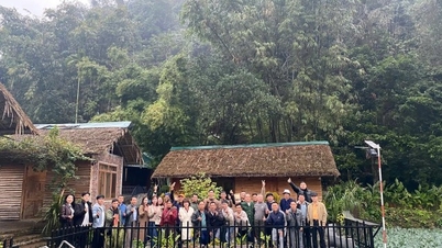 Menjalankan tinjauan lapangan dan belajar daripada pengalaman dalam membangunkan pelancongan komuniti dan perniagaan homestay.