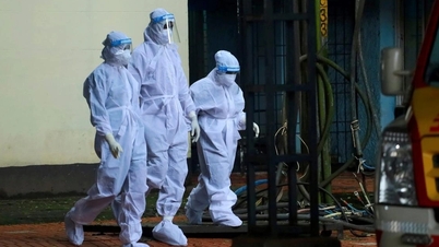 Des experts de la faculté de médecine de Harvard estiment qu'il est peu probable que l'épidémie de Nipah se propage largement au Vietnam.