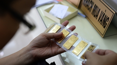 O preço das barras de ouro da SJC subiu para 184,2 milhões de VND por tael.