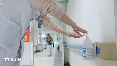 Como podemos prevenir a infecção pelo perigoso vírus Nipah?