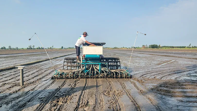 A chave para mudar a agricultura no Delta do Mekong, da quantidade para a qualidade.