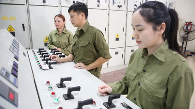 Trinh Xa - Long Tuu Headworks Irrigation Enterprise: 봄철 작물 생산을 위한 수자원 확보에 적극적으로 나서고 있습니다.