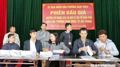 Kelurahan Nam Trieu berhasil melelang 220 bidang tanah, menghasilkan lebih dari 243 miliar VND di atas harga awal.