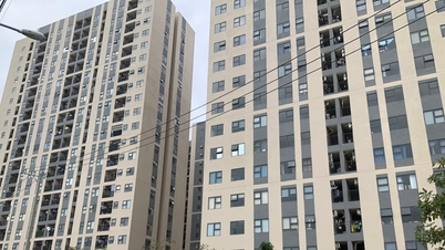 Social housing - a social welfare issue: Removing the barriers.