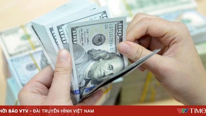 Dolar amerykański kontynuował spadek, gdyż Rezerwa Federalna utrzymała stopy procentowe na niezmienionym poziomie.