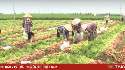 การยกเว้นภาษีที่ดินเพื่อการเกษตรจนถึงปี 2030: แรงผลักดันสู่การผลิตที่ยั่งยืน