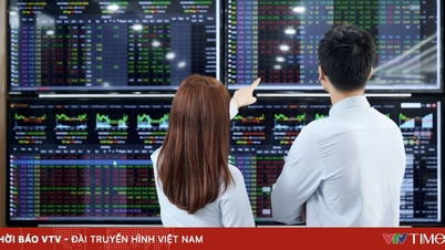 „Investment-Grade“-Aktien ebnen den Weg für Kapitalflüsse: Neue Chancen für Aktien und Immobilien?