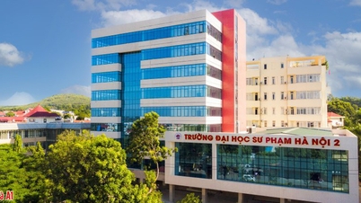 یک مدرس دانشگاه به دلیل استفاده از مدارک جعلی مجبور به استعفا شد و نامش از لوح تقدیر مدرک دکترا حذف شد.