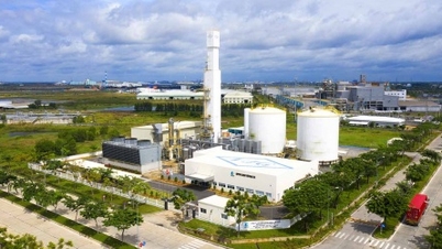 Dự kiến quý I/2026, TP.HCM có khu công nghiệp đầu tiên đạt chứng nhận sinh thái
