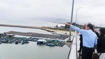 Gia Lai memperketat manajemen dan menghentikan penguasaan lahan ilegal di sekitar proyek energi.