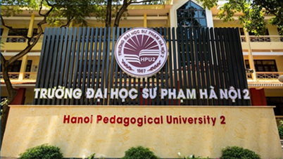 Universitas Pedagogi Hanoi 2 memecat dosen yang menggunakan gelar doktor palsu.