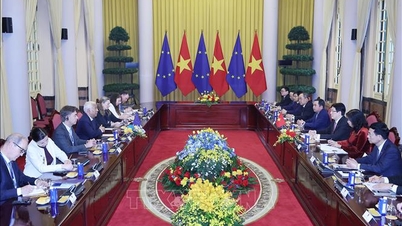 Le président Luong Cuong et le président du Conseil européen se sont entretenus.
