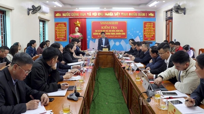 Valkommitté nr. 8 arbetar med valfrågor i kommunerna Pà Vầy Sủ, Xín Mần, Nấm Dẩn, Quảng Nguyên, Trung Thịnh och Khuôn Lùng.