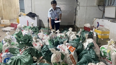 Scoperte numerose reti di distribuzione illegale di prodotti alimentari; Ho Chi Minh City ispeziona 1.320 esercizi commerciali.