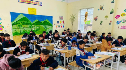 तुयेन क्वांग प्रांत का शिक्षा एवं प्रशिक्षण विभाग प्राथमिक विद्यालय स्तर के लिए व्यावसायिक सलाह और सहायता को मजबूत कर रहा है।