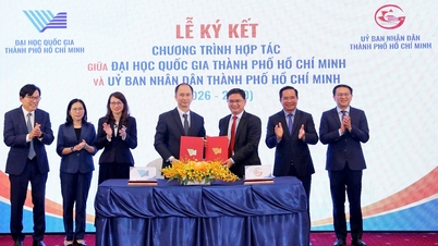 A Vietnami Nemzeti Egyetem, Ho Si Minh-város (VNU-HCM), Ho Si Minh-város innovációs koordinációs központjaként működik.