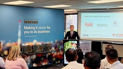 Consolidarea parteneriatului economic, comercial și de investiții dintre Vietnam și Noua Zeelandă.