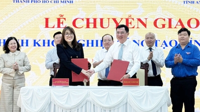 Transfer des innovativen Startup-Modells in die Provinz An Giang.