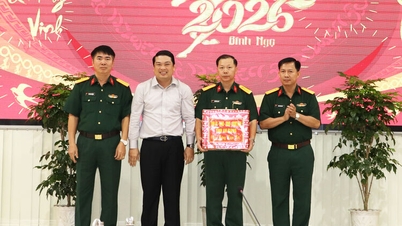 Nestleder i An Giang provinsielle folkekomité, Le Trung Ho, sender nyttårshilsener til Brigade 950 og familiene til fortjente personer.