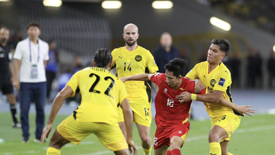 La AFC advierte a Malasia si utiliza 7 jugadores naturalizados contra Vietnam.