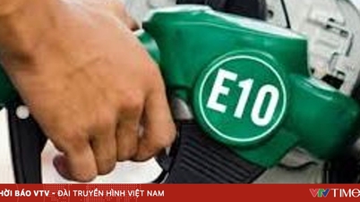 اعلام نقشه راه برای تصویب اجباری بنزین E10.