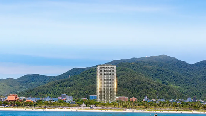 202 διαμερίσματα στο έργο συγκυριαρχίας Ocean Tower είναι επιλέξιμα προς πώληση.
