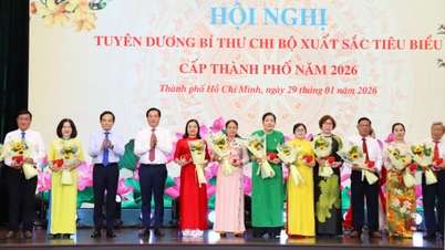 ນະຄອນໂຮ່ຈິມິນມອບລາງວັນໃຫ້ແກ່ເລຂາໜ່ວຍພັກທີ່ມີຜົນງານດີເດັ່ນ 233 ຄົນ, ເຊິ່ງເປັນພື້ນຖານຂອງຄວາມເຂັ້ມແຂງຂອງພັກ.