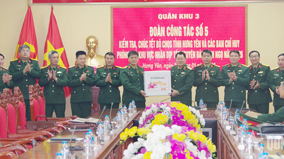 3. Askeri Bölge, Ninh Binh ve Hung Yen illeri ile Hanoi şehrinde denetimler yaparak yeni yıl tebriklerini iletti.