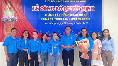 ការបង្កើតសហជីពកម្មករមូលដ្ឋាននៅក្រុមហ៊ុន Tan Long Mekong Co., Ltd.
